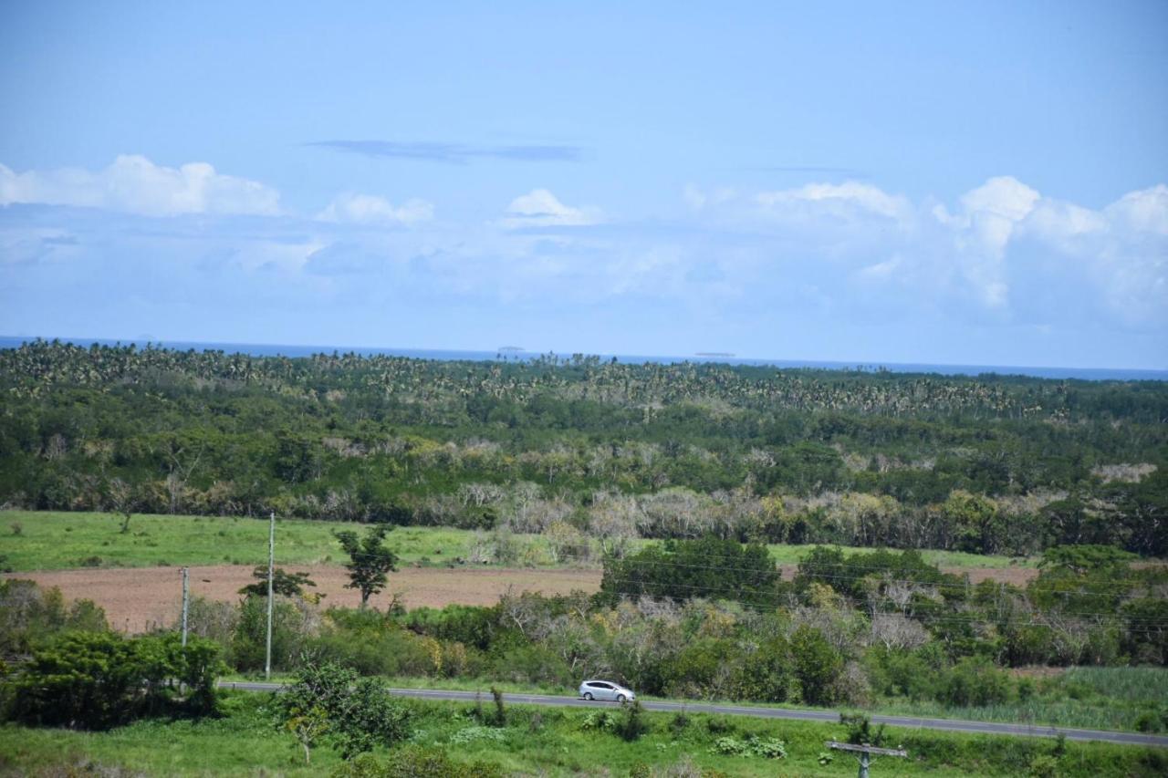 Best View Apartments นาดี ภายนอก รูปภาพ
